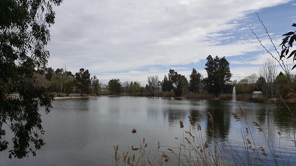 Parque Tierno Galván