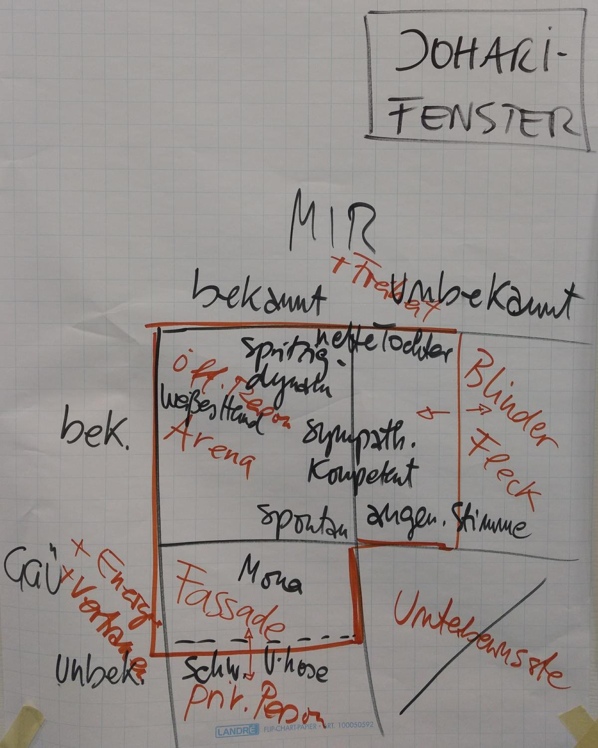 Blinde Flecke und Projektionen unterscheiden (Das Johari-Fenster) Blinde Flecke und Projektionen unterscheiden (Das Johari-Fenster)