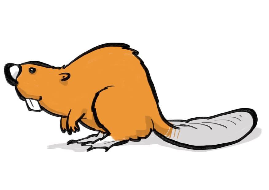 BIBERisieren (Minimierungsstrategie 2/9) BIBERisieren (Minimierungsstrategie 2/9)