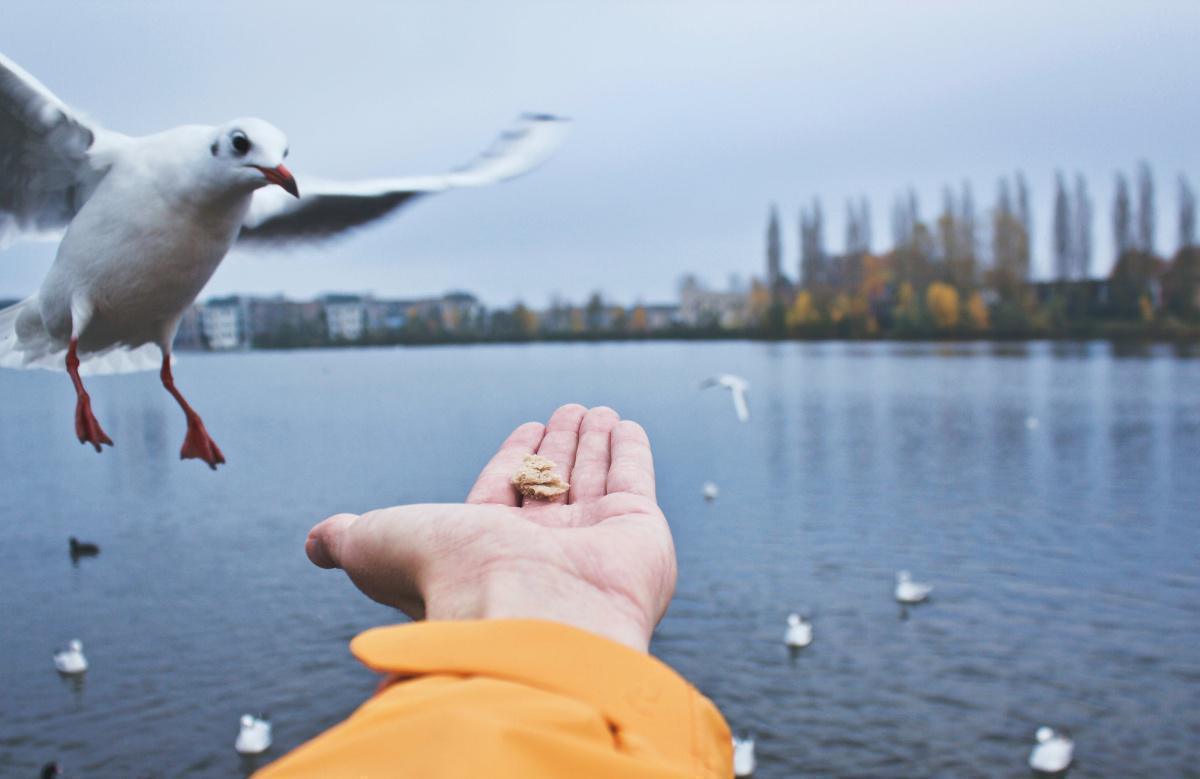 Das beste Mittel, jeden Tag gut zu beginnen, ist beim Erwachen ...