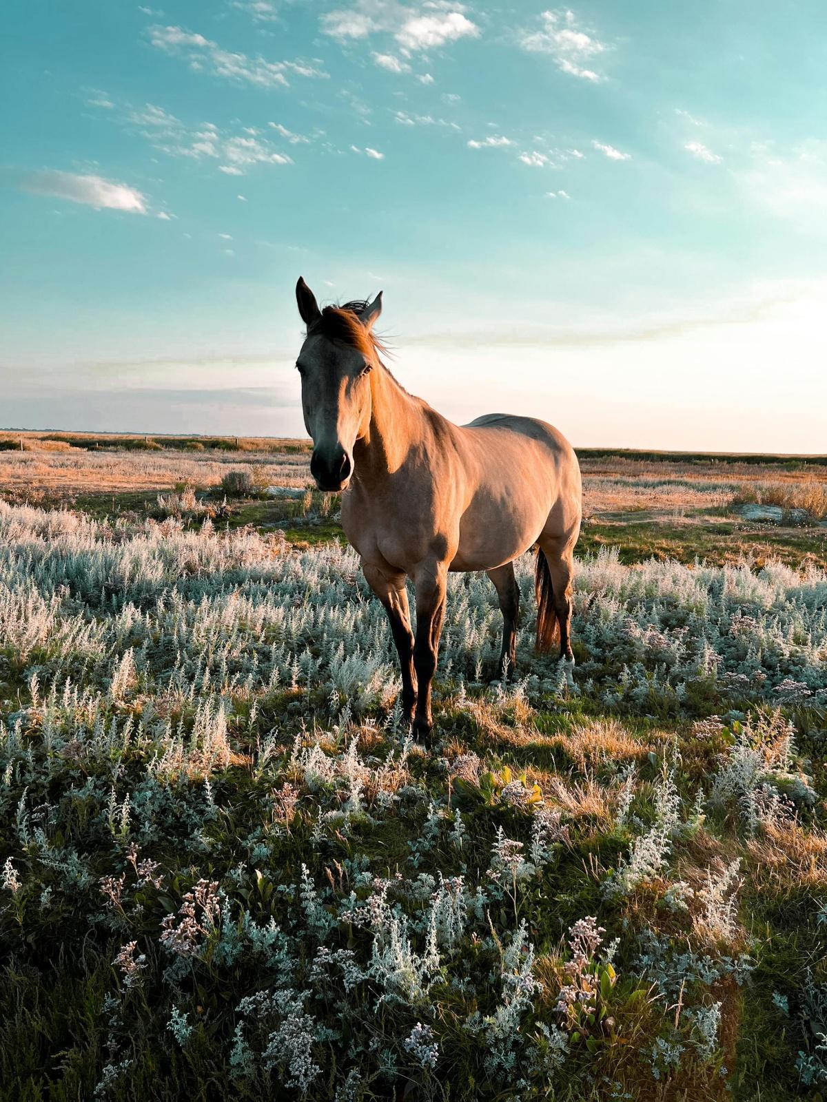Dein Leben ohne Erwartungen zu leben ...