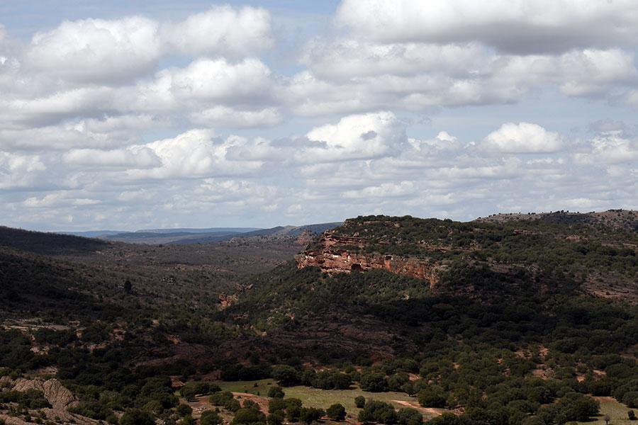 Castillo de Riba de Santiuste (Guadalajara) Castillo de Riba de Santiuste (Guadalajara)