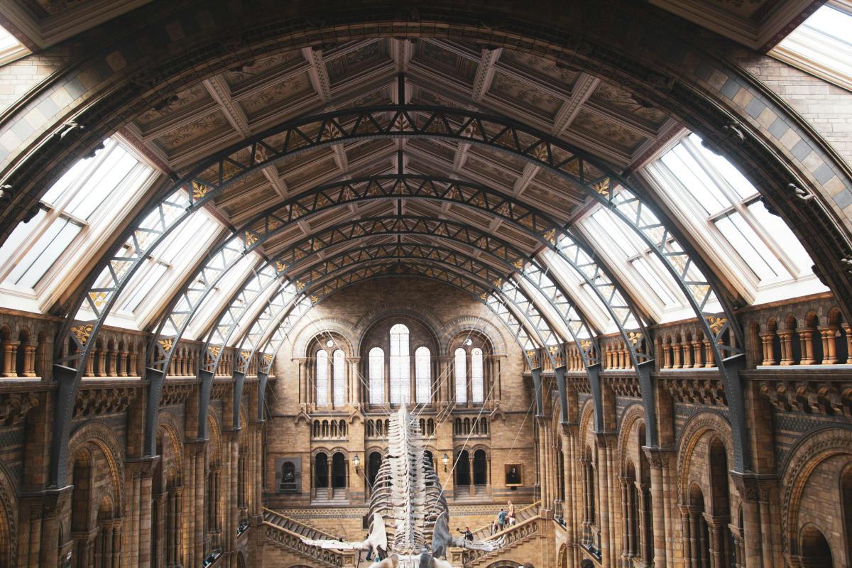 Museo de Historia Natural (Londres)