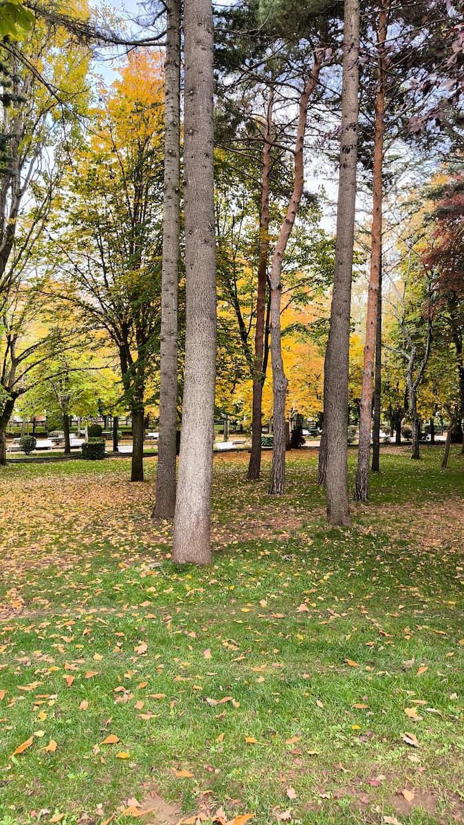 Alameda de Cervantes de Soria Alameda de Cervantes de Soria