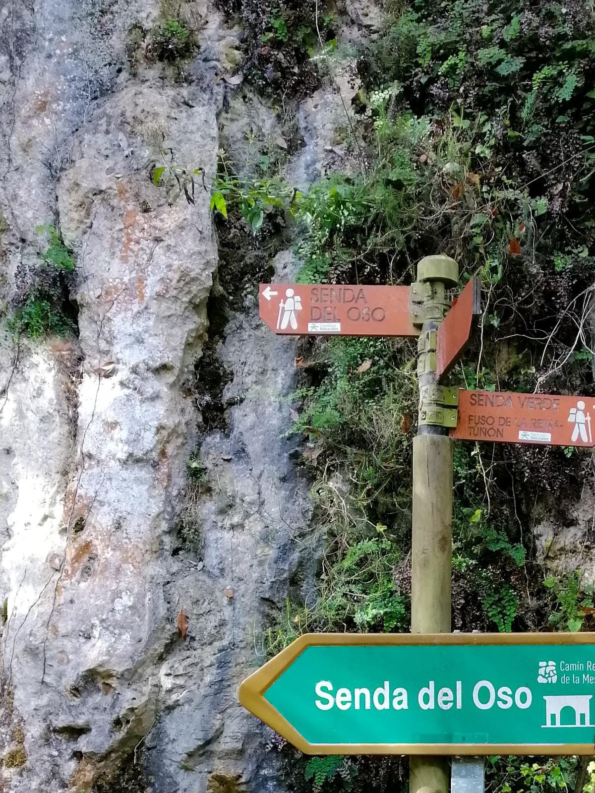 Senda del Oso (inicio)(Asturias)