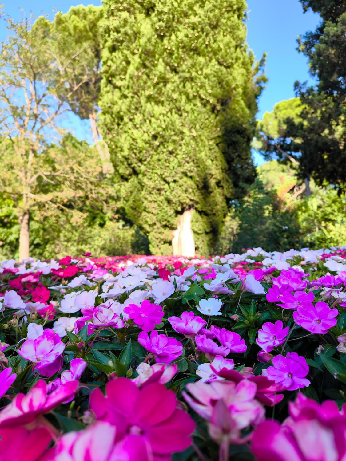 Jardín El Capricho de la Alameda de Osuna (Madrid)
