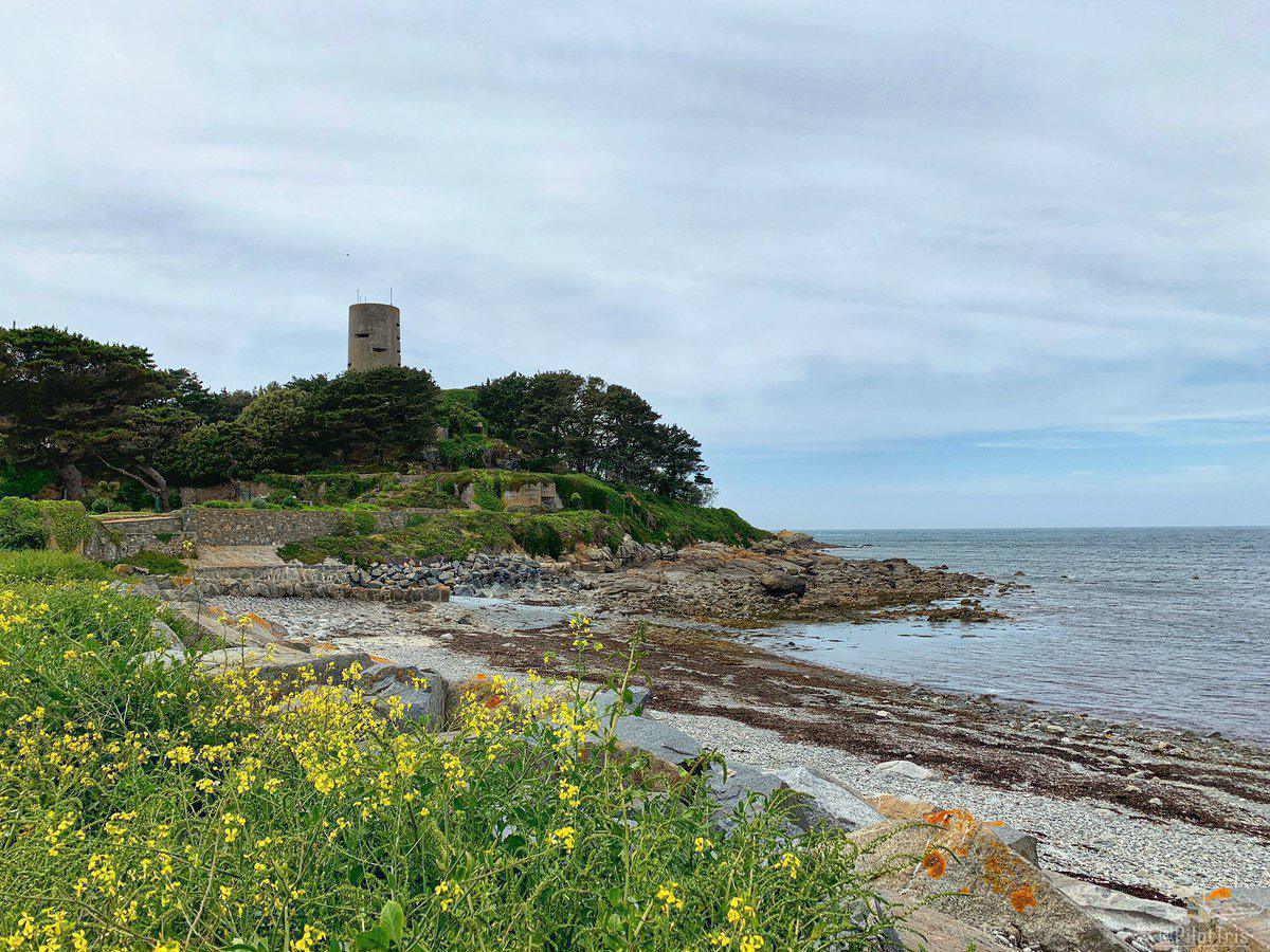 Kelvin Seeds (Silver Accredited Guide) Kelvin Seeds (Silver Accredited Guide)