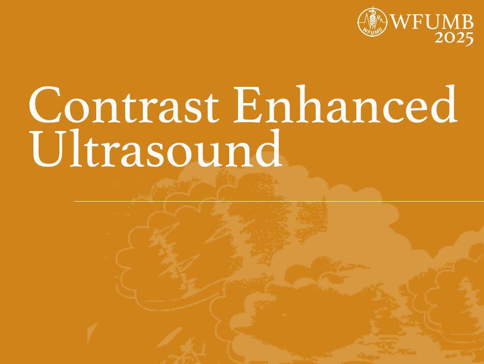 Symposium: CEUS for various abdominal applications