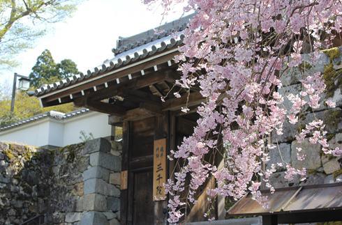 Sanzenin_Spring490323