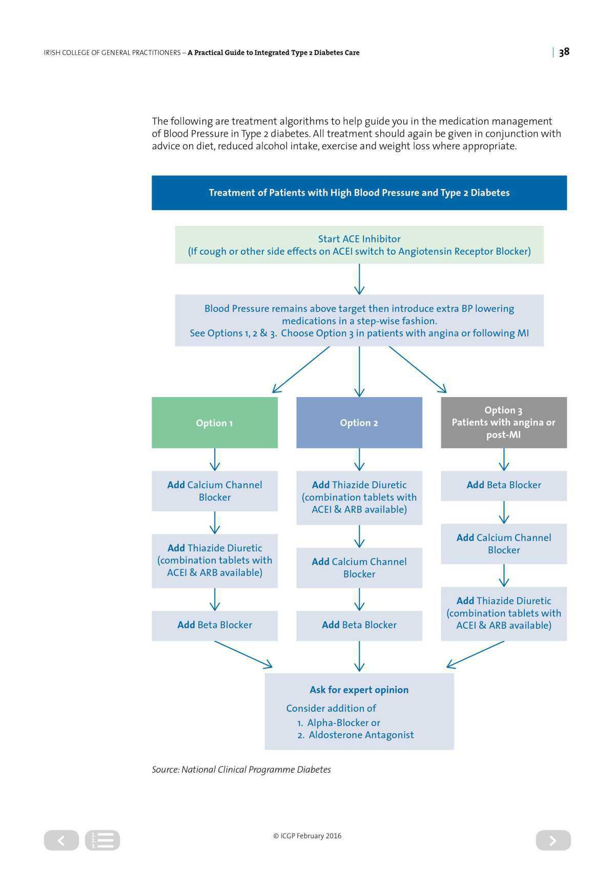 Diabetes Integrated Care 