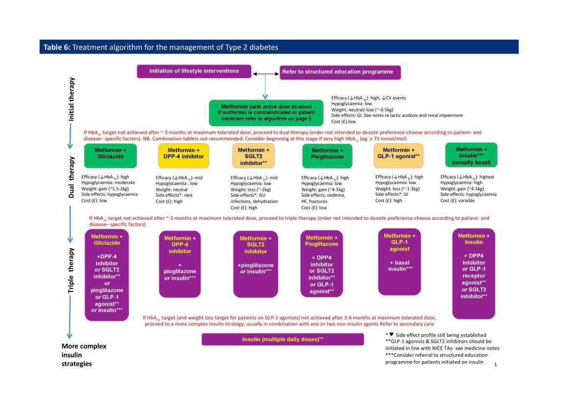 Model of Integrated Care for Patients with Type 2 Diabetes 
