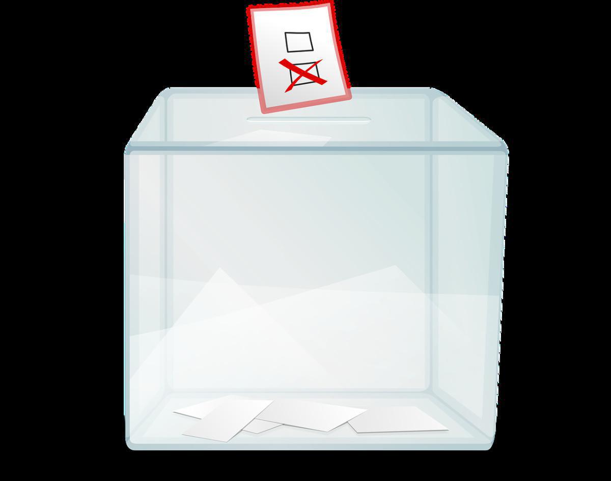 Elections Fcpe Actionnariat Salariés des membres du conseil de surveillance