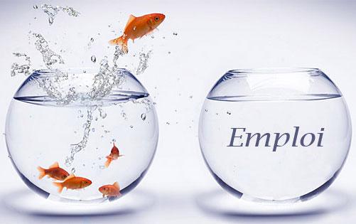 CIC Ouest : L'Echo du CSE du 16 décembre 2022 CIC Ouest : L'Echo du CSE du 16 décembre 2022