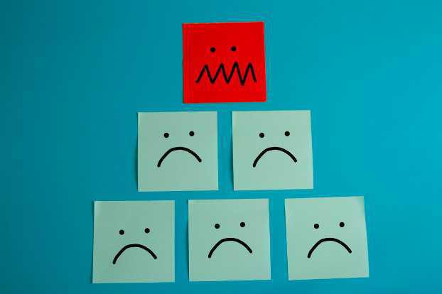 CM Anjou : FOLELIRE octobre 2023  CM Anjou : FOLELIRE octobre 2023