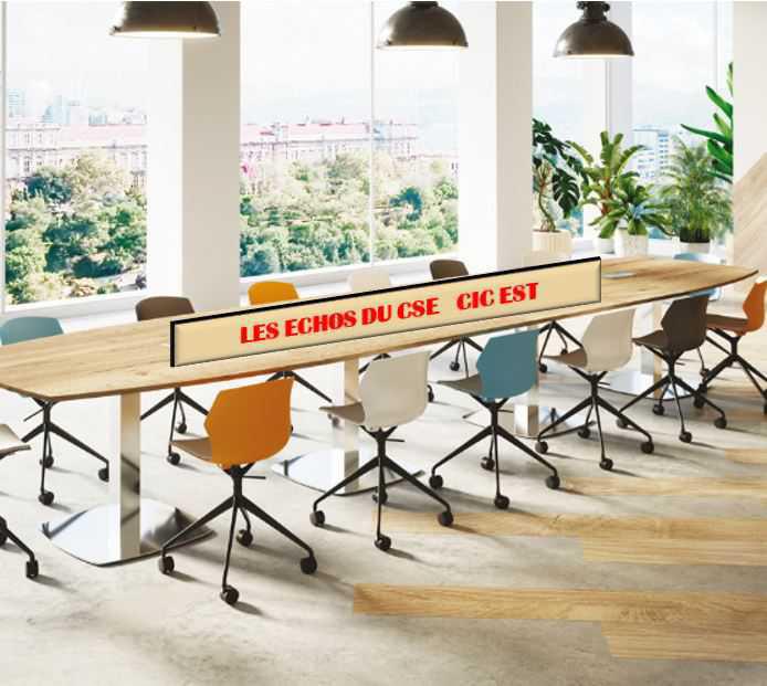 Echos CSE CIC EST février 2024 Echos CSE CIC EST février 2024