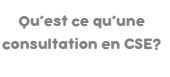 CIC EST les Echos du CSE mars 2024 CIC EST les Echos du CSE mars 2024