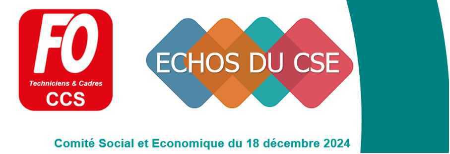 CCS : CSE de décembre 2024