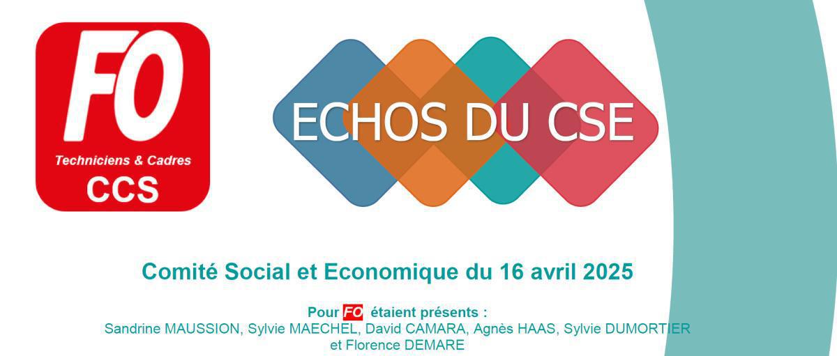 CCS : CSE du 16 avril 2025