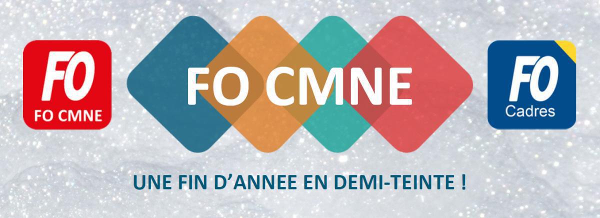 CMNE : Une fin d'année en demi-teinte ! CMNE : Une fin d'année en demi-teinte !