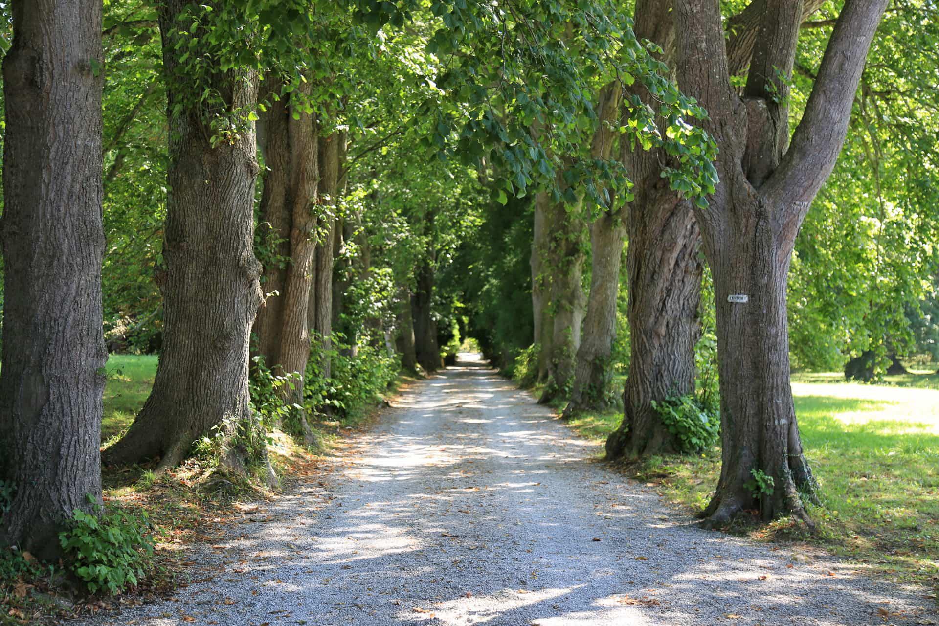 Palacio del Conde de la Vega del Sella
