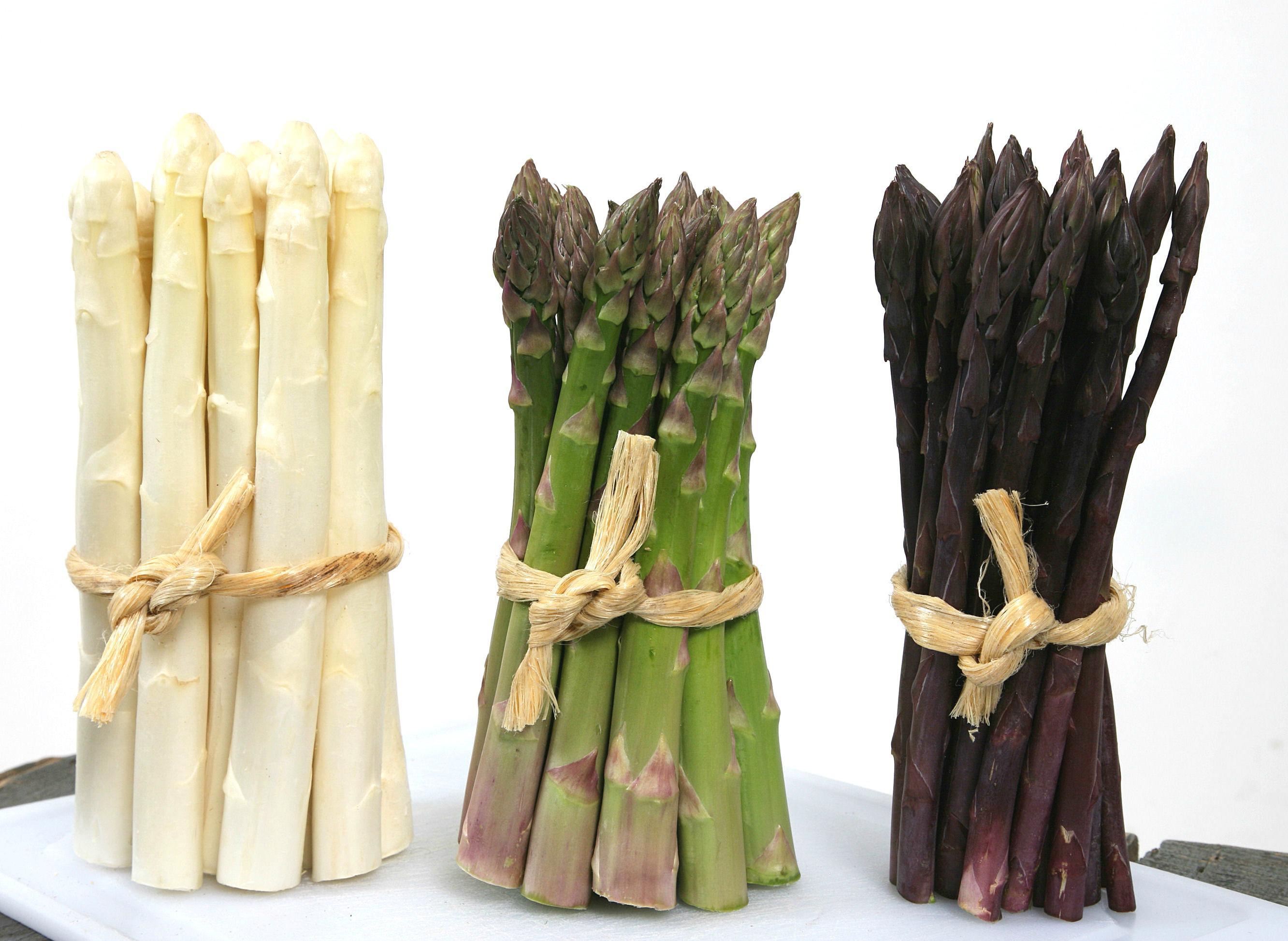 Qu Est Devenue La Geante De Horbourg 2 2