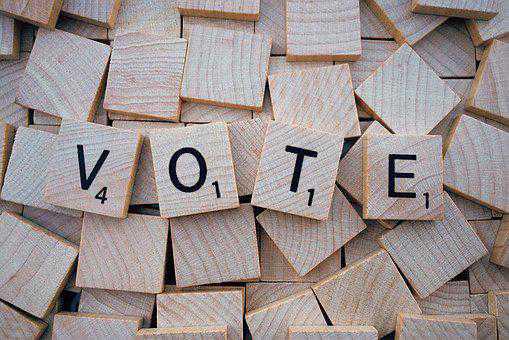 Sincérité du vote : la protection par les principes généraux du droit électoral.
