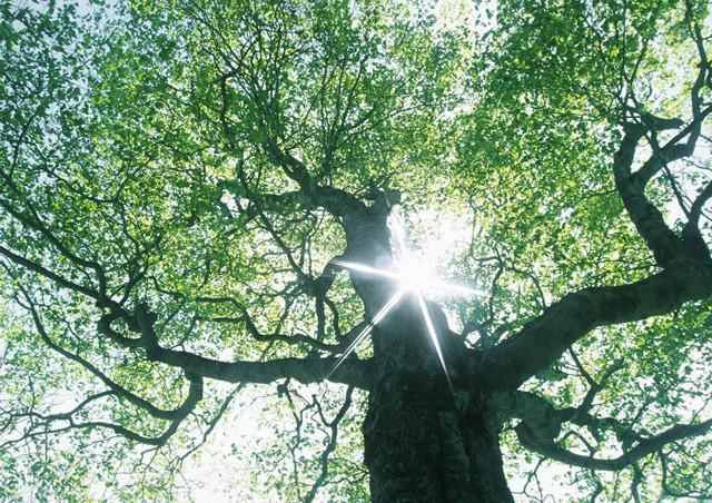 CO₂ Prestatieladder