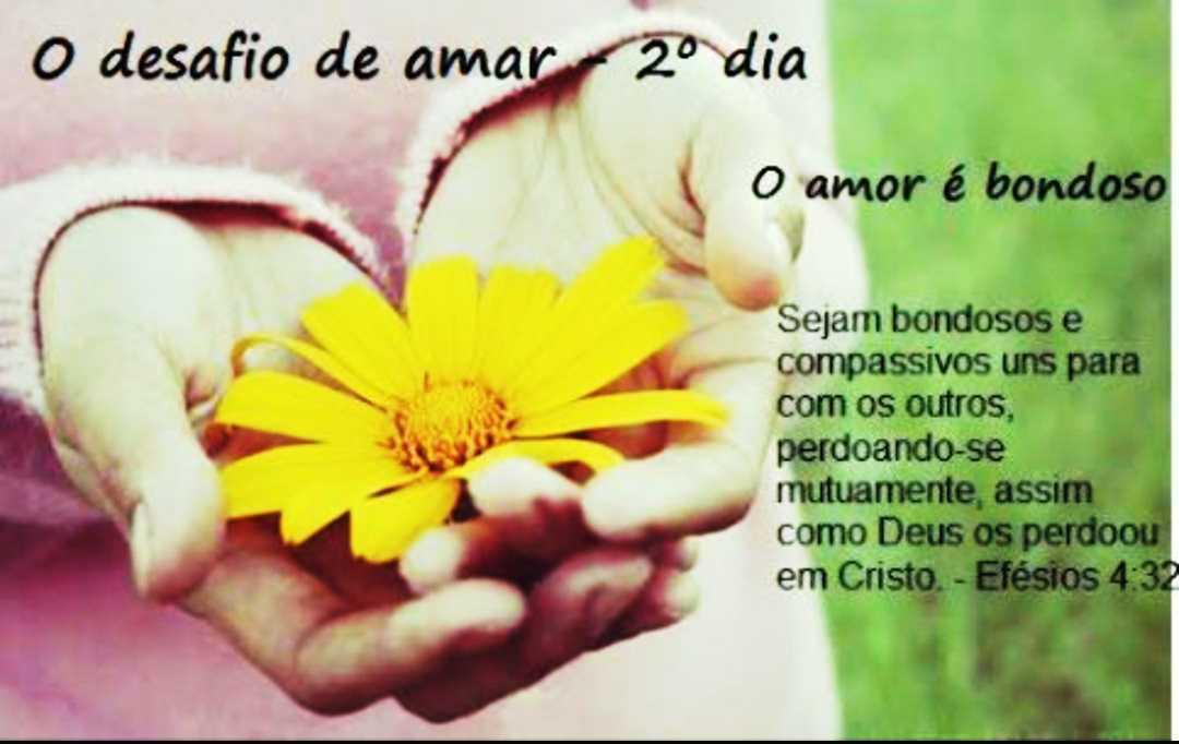 O Desafio de Amar
