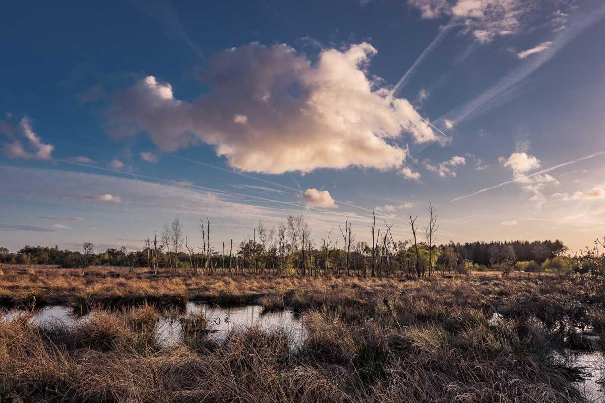 Tausendschrittmoor Tausendschrittmoor