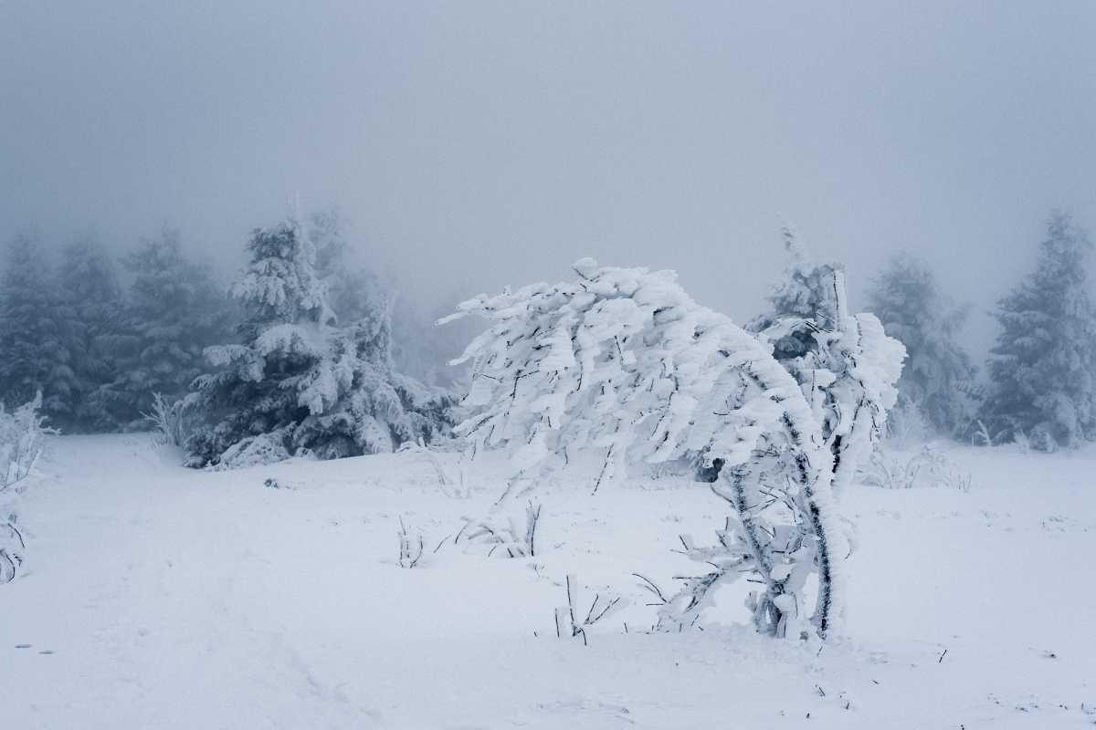 Westnetz auf Sturm und Schneefall vorbereitet
