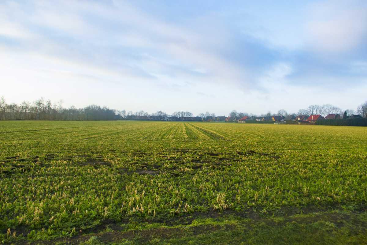Baugebiet zwischen Erika und Altenberge zu 2023 fertig?