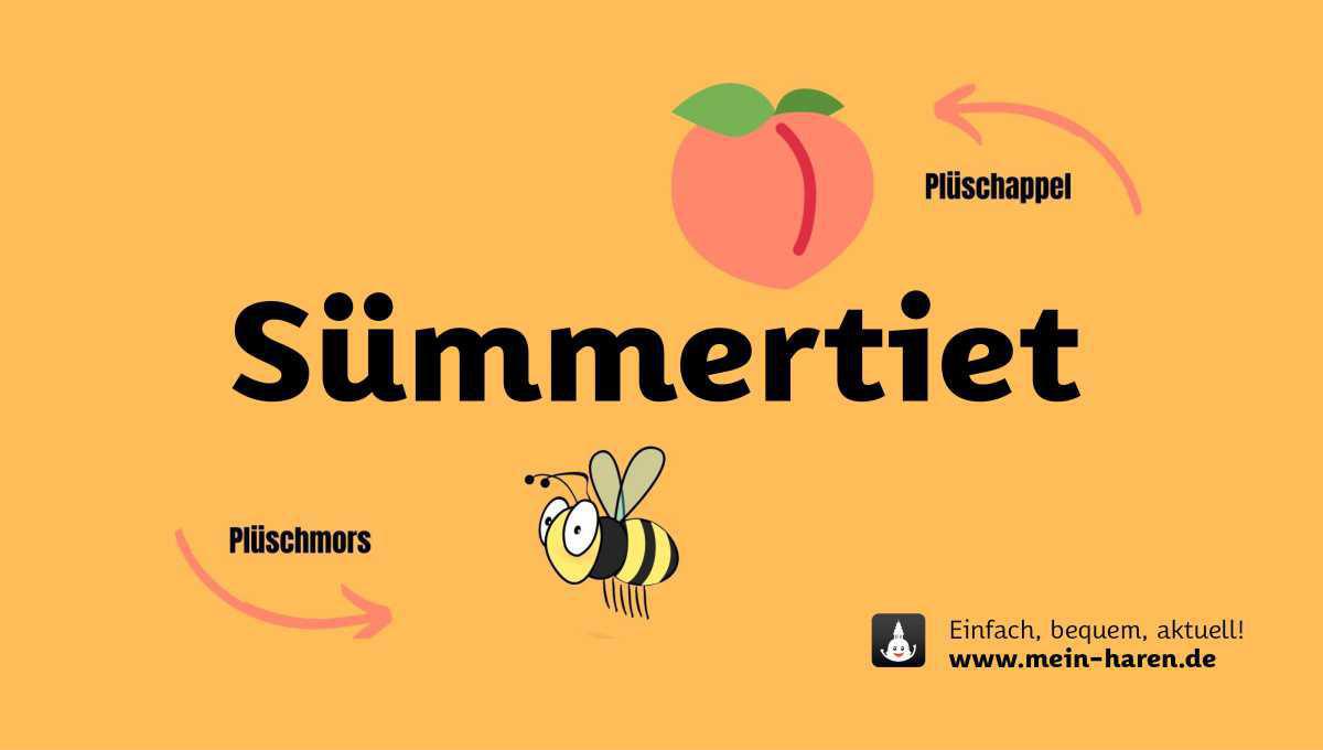 Plattdeutsches Wort - "Sümmertiet" (mit Audio)