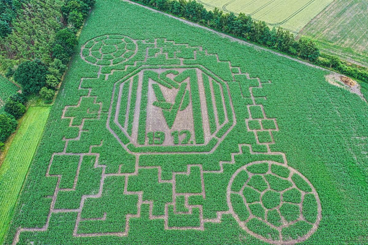 UPDATE: Spieler des SV Meppen eröffnen das Maislabyrinth 2021 