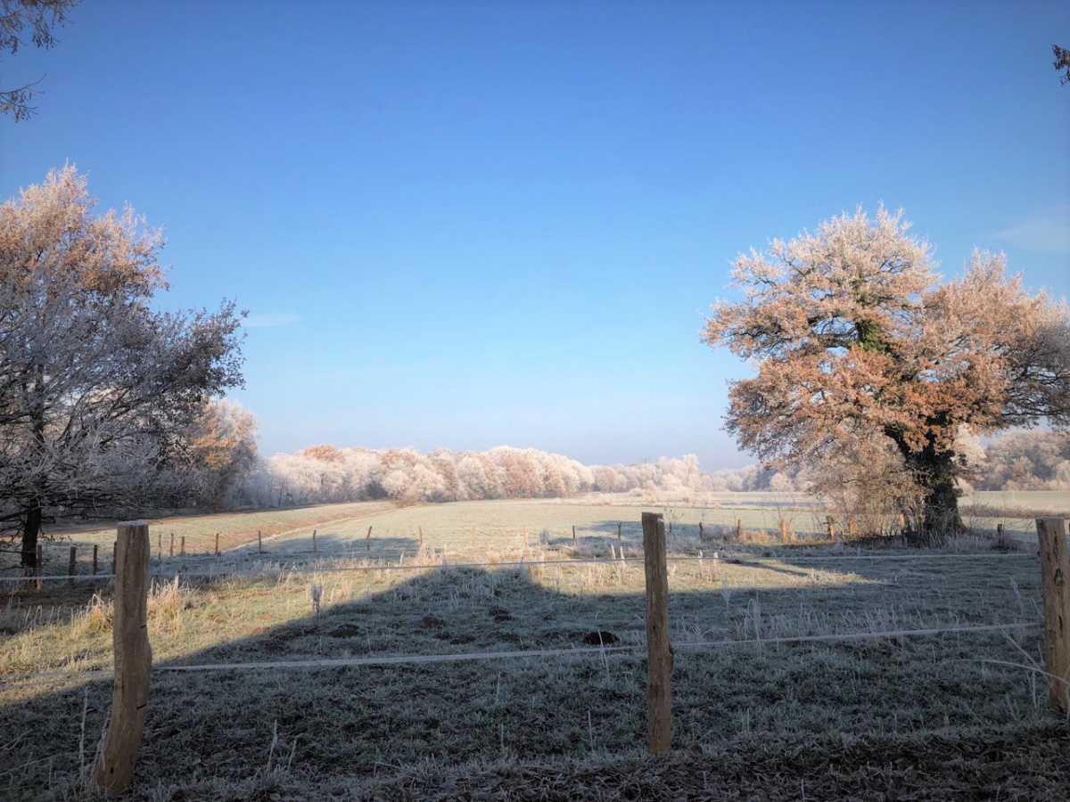 Wie gepudert: Winteridylle im Emstal Wie gepudert: Winteridylle im Emstal