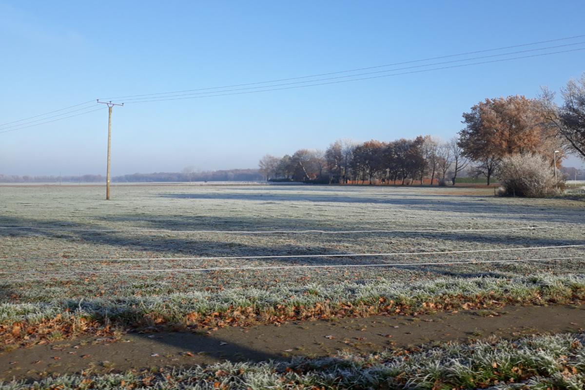 Wie gepudert: Winteridylle im Emstal Wie gepudert: Winteridylle im Emstal