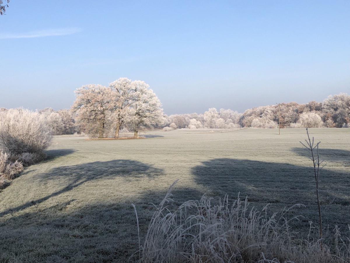 Wie gepudert: Winteridylle im Emstal Wie gepudert: Winteridylle im Emstal