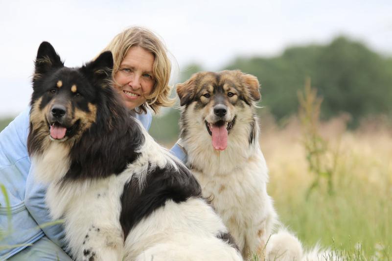 VHS Meppen startet Vortragsreihe „Einblicke in die Psyche“ VHS Meppen startet Vortragsreihe „Einblicke in die Psyche“