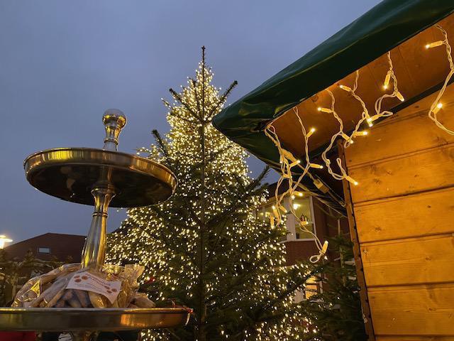 Baumspenden willkommen Baumspenden willkommen