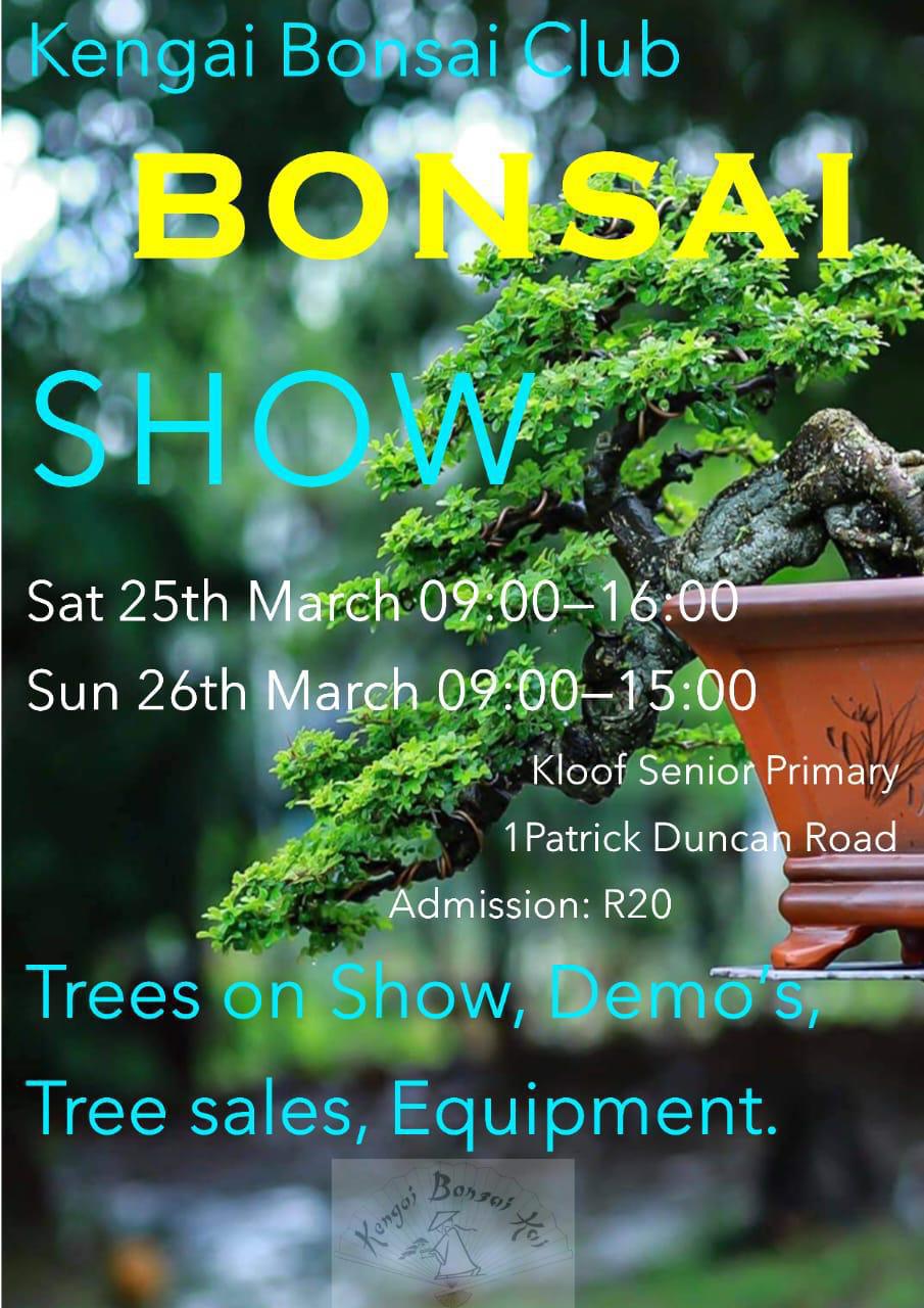 Local Events