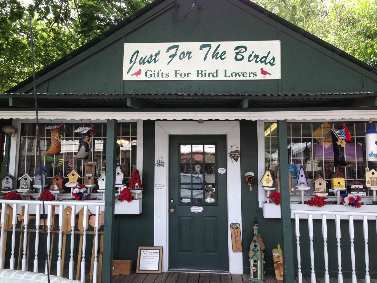 Just for the Birds* Just for the Birds*