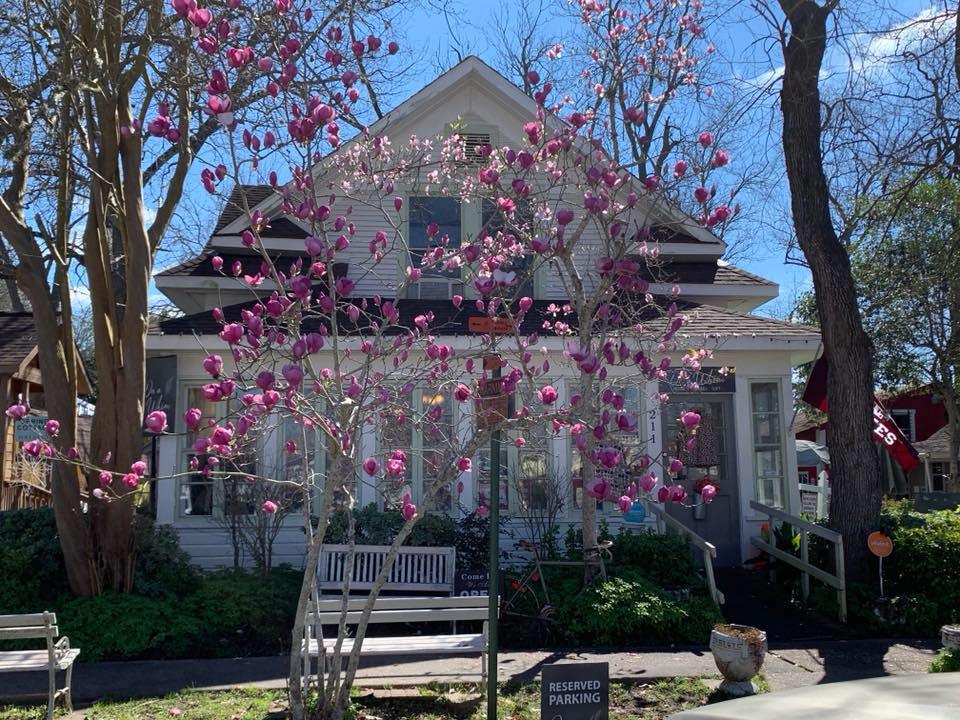 On a Whim* On a Whim*