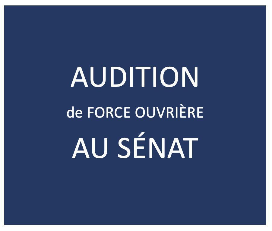 Projet de loi sur les polices municipales