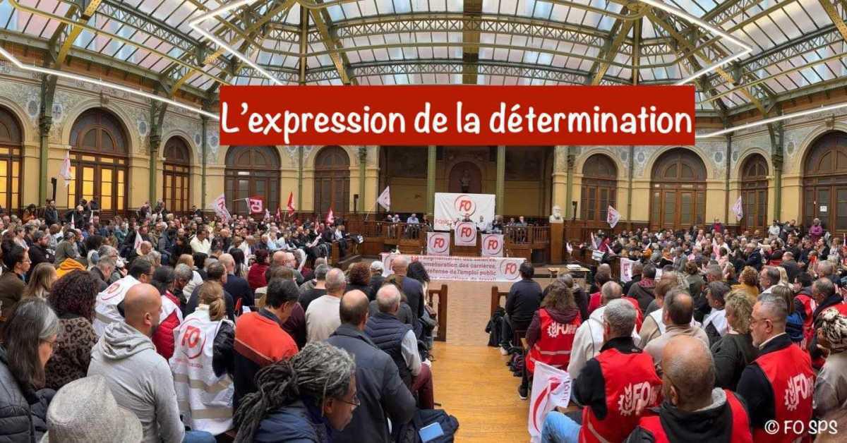 FO Fonction publique en meeting :