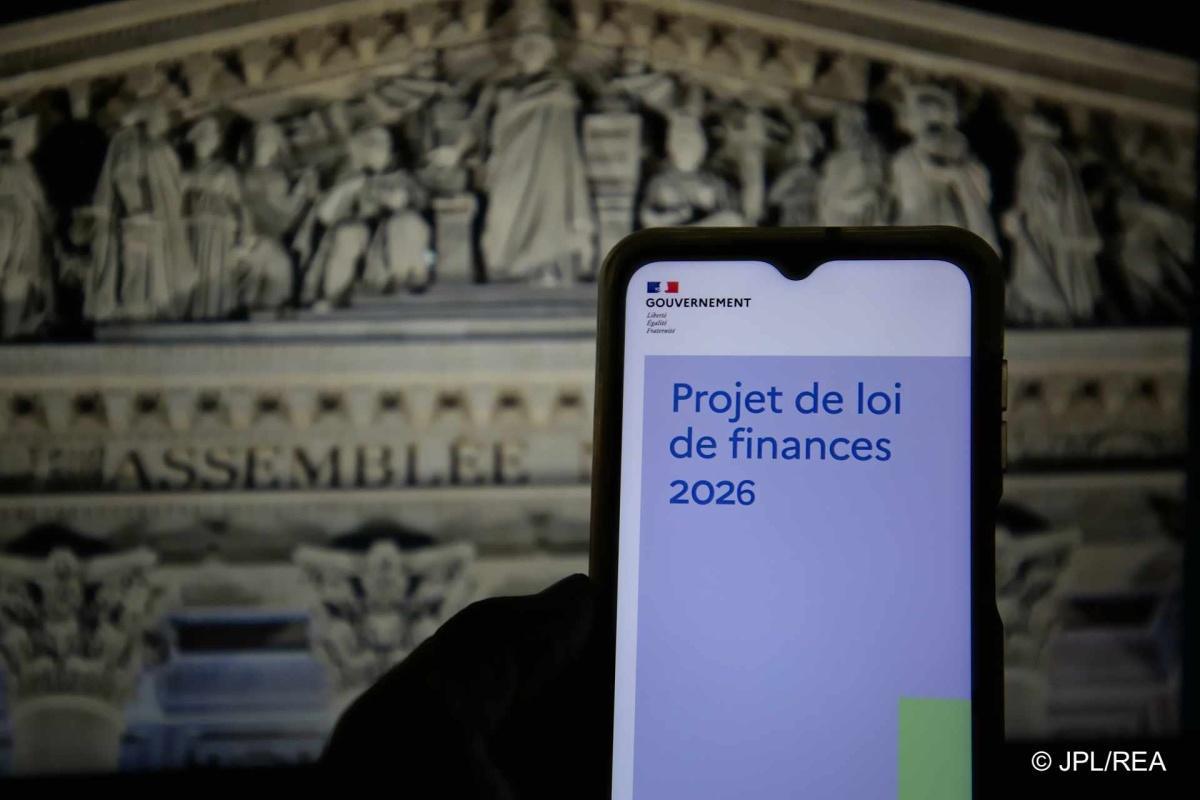 Budget 2026 : l’adoption au forceps