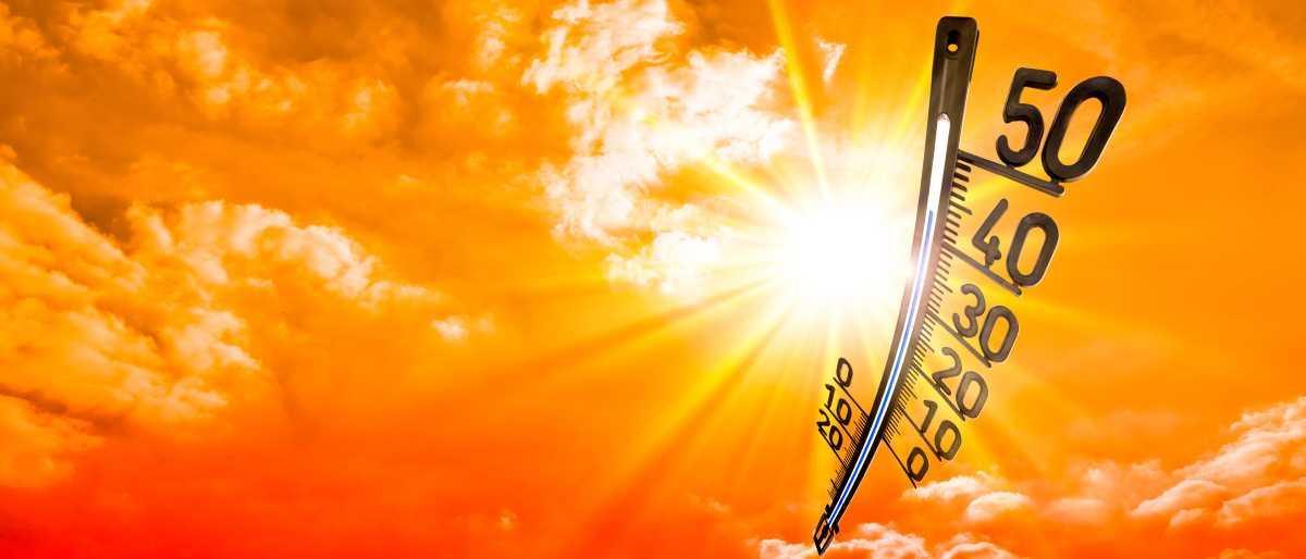 CANICULE : Précautions prévues par la réglementation...