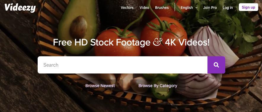 5 Websites de stock video