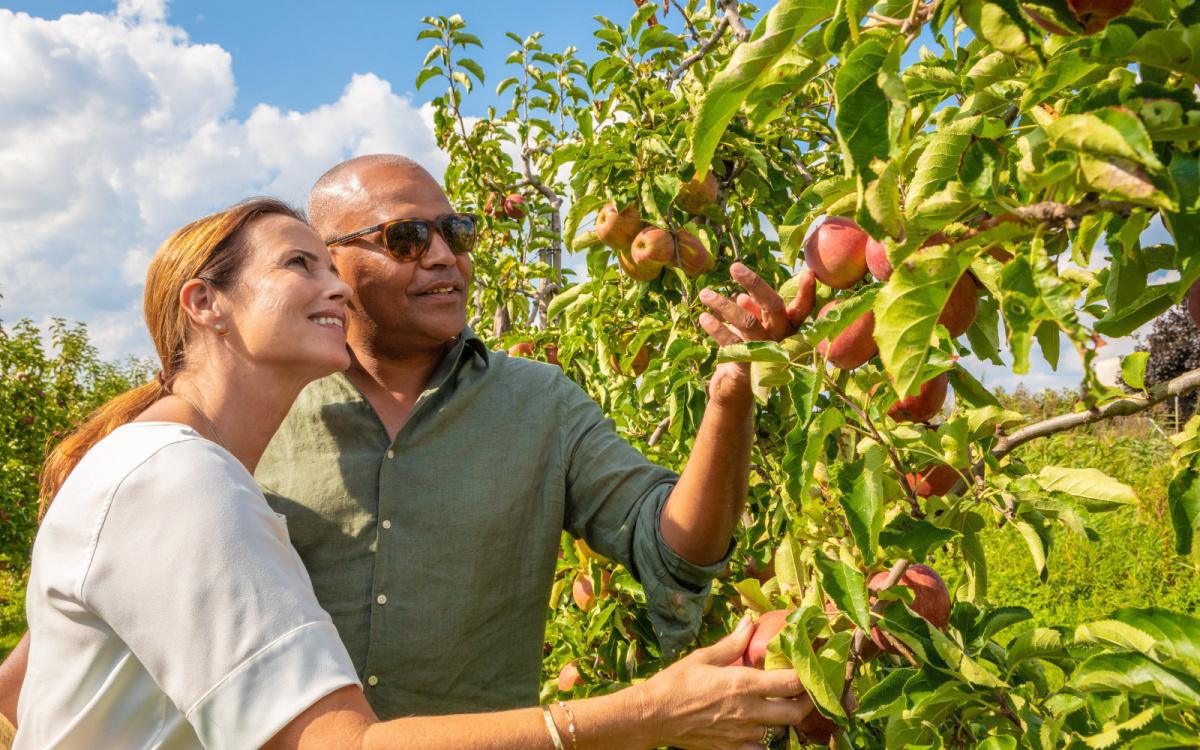 Van bloesem tot oogst Van bloesem tot oogst