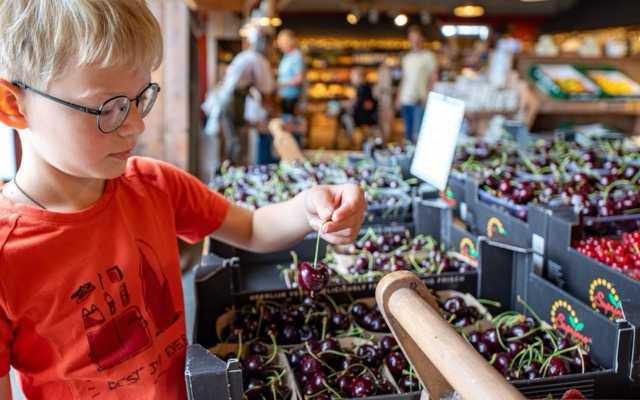 Van bloesem tot oogst 