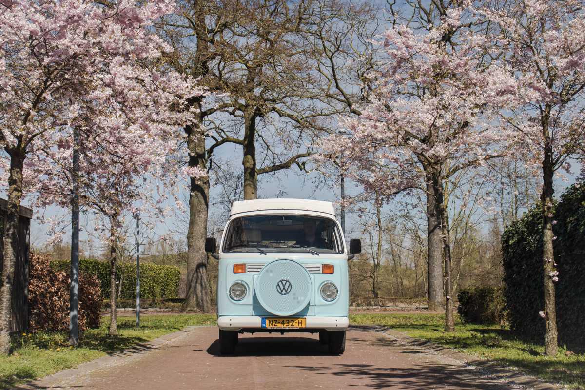 Leuke bloesemuitjes voor je uitgelicht🌸🚲