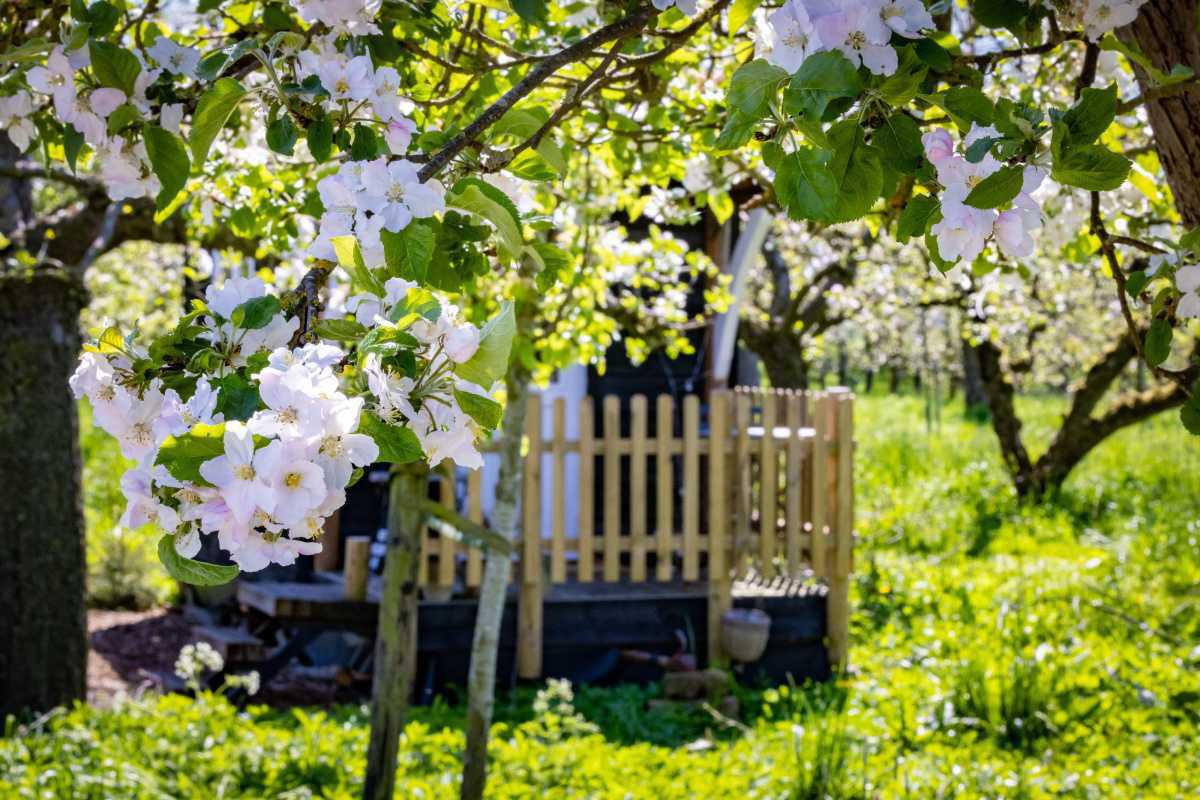 Leuke bloesemuitjes voor je uitgelicht🌸🚲 Leuke bloesemuitjes voor je uitgelicht🌸🚲